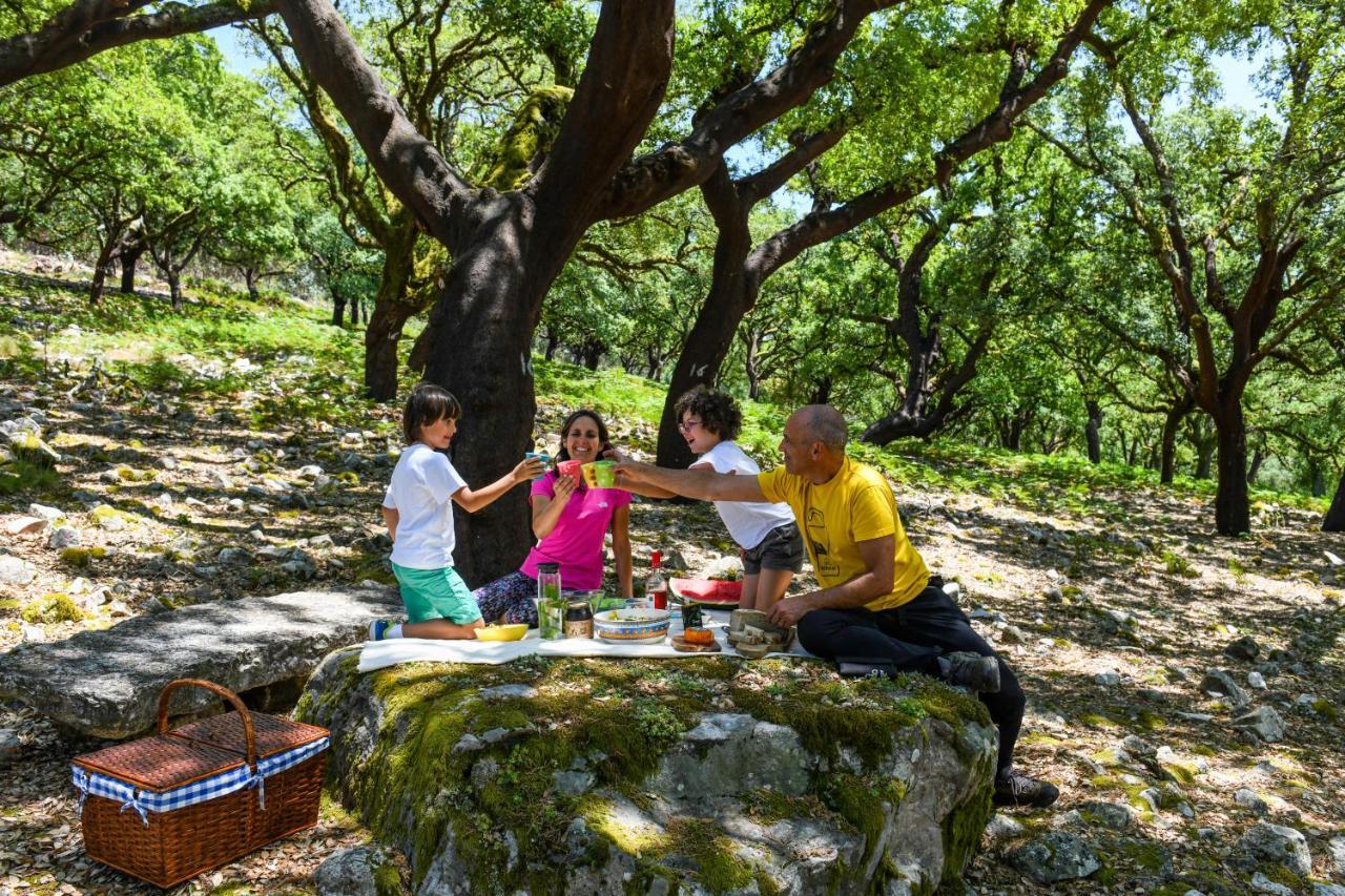 Vale Do Ninho Nature Houses Ferraria de São João المظهر الخارجي الصورة